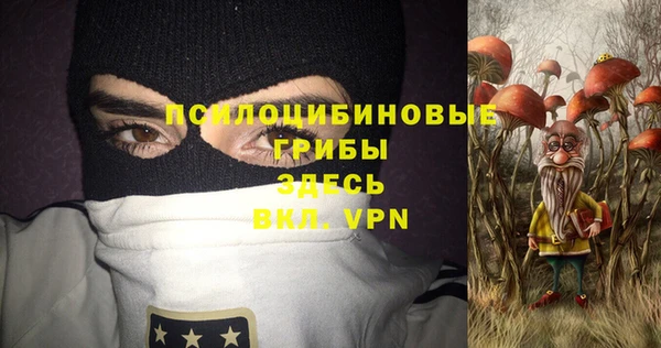 молекула духа Балахна