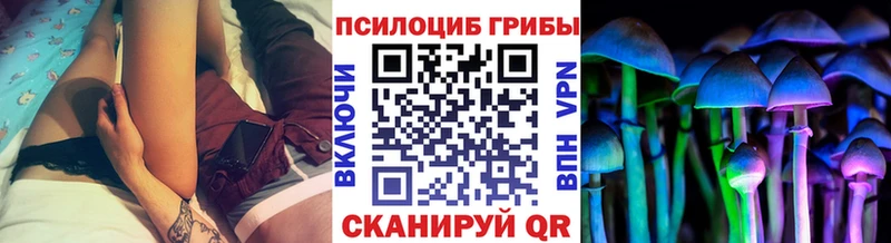 Псилоцибиновые грибы Cubensis  закладки  Сосногорск 
